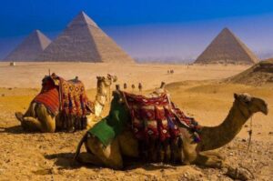 three pyramids of Egypt and camels in Giza. Classic Egypt.
