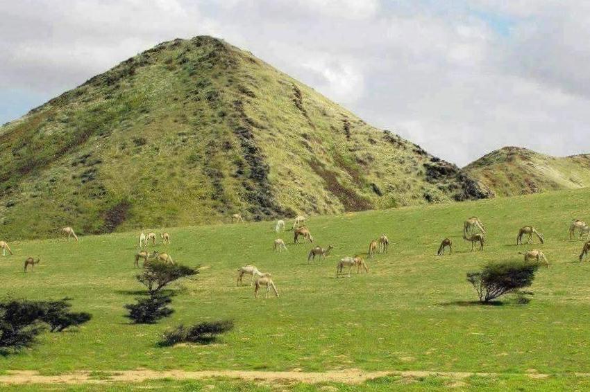 National Park of Gabal Elba